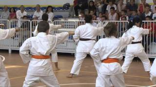 Un rinnovato Palazzetto dello Sport (San Giorgio di Mantova, 15/09/2013)