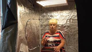 ПОСЕЯЛА ТОМАТЫ В РАСТИТЕЛЬНУЮ ПАЛАТКУ. 