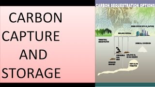 l56 - CARBON CAPTURE AND STORAGE ( CO2 SEQUESTARION)