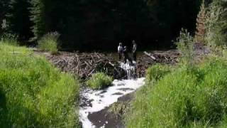 Beaver Dam Blues - time lapse