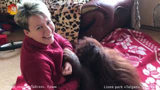 Игры с орангутаном Даной или попробуй умотать обезьяну  ? Тайган. Games with Orangutan. Taigan.
