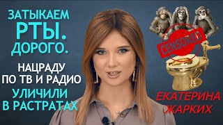 "Патриотов" Нацрады по ТВ поймали на растрате 150 млн грн. из бюджета. Как там остальные их успехи?