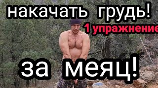 НАКАЧАТЬ ГРУДЬ ЗА МЕСЯЦ! ОДНИМ УПРАЖНЕНИЕМ