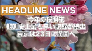 今年の桜開花　観測史上最も早い記録が続出　東京は23日(火)に満開へ