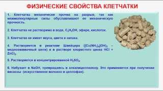 № 148. Органическая химия. Тема 21. Углеводы. Часть 22. Физические свойства клетчатки