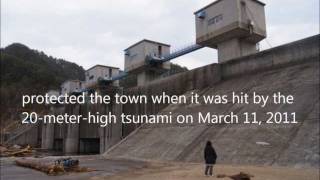 Japan Earthquake,tsunami hit Hudai Village , Fudai floodgate 普代水門