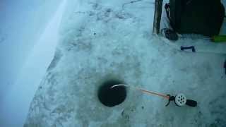 Ловля леща зимой на Сурском море