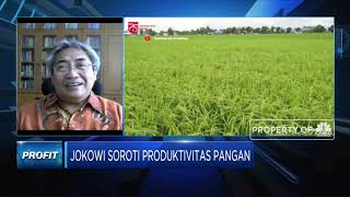 Kelangkaan Pupuk, Pengaruhi Produktivitas Pangan RI