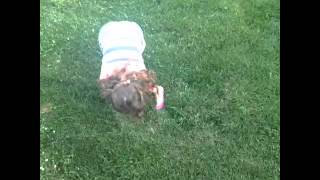 Peeing outside