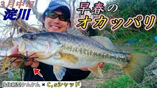 【淀川バス釣り】　すでに春！？オカッパリから本流を攻める！