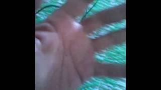 memek perawan mulus