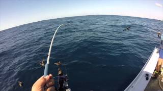 Gomoku Jigging