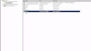 DNS