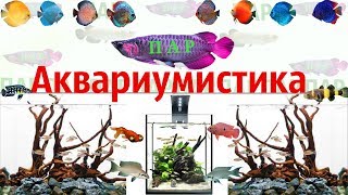 ПАР - Аквариумистика