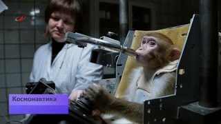 Планета обезьян
