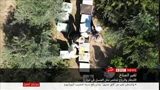 BBC Arabic Live - البث المباشر لتلفزيون بي بي سي عربي