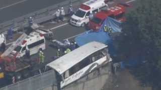 Tokyo Disneyland coach crash kills seven in Japan