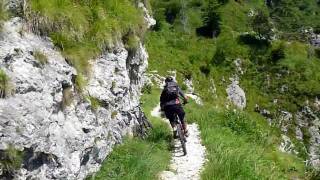 Monte Grappa - Sentiero  153
