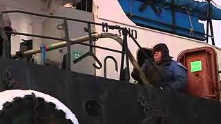 В нашу гавань не заходят корабли
