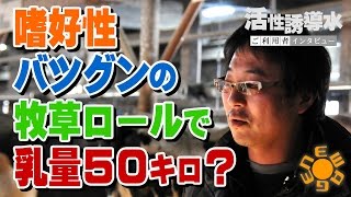 嗜好性バツグンの牧草で乳量５０キロ？
