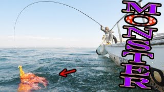 【Octopus fishing】世界最大種のタコが釣れた！