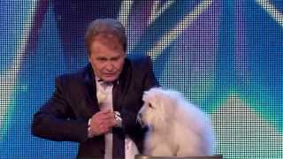 Yarışmada Konuşan Köpek Herkesi Şaşkına Çevirdi! ( Talking Dog Wendy! )