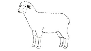 How to Draw a Sheep / Как нарисовать овцу