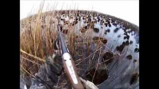 Охота на ГУСЯ (hunting on goose)