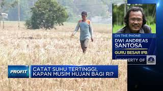 Produksi Beras Turun 2% Saat Kemarau, Petani Minta RI Tak Ekspor!