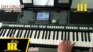 Học Đàn Organ Cấp Tốc TPHCM - DẤU CHÂN KỶ NIỆM - Trung Tâm Nhạc Rừng