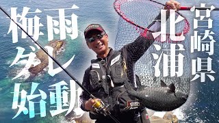 ガンガン突っ込む元気な引き！2022梅雨グレ始動～宮崎県北浦