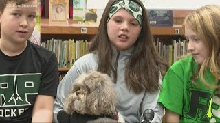 Dog surrendered twice wins $100,000 for Muskegon County shelter