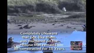 Rape, Murder & SNUFF FILM & Grand Jury