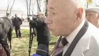 Карачаевская порода лошадей