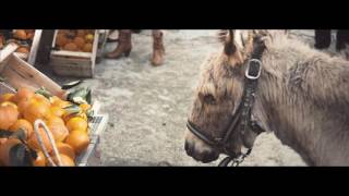 The Life Deliziosa | Sanpellegrino Fruit Beverages