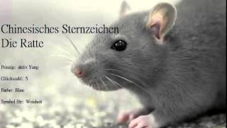 Chinesisches Sternzeichen- Die Ratte