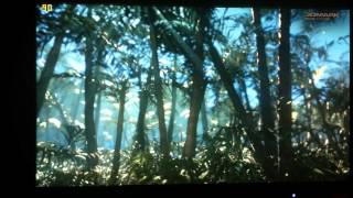 3D Mark 11 (P15611) - nVidia GTX 680 SLi Benchmark (Physx Enabled)
