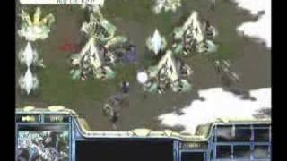 [Oops]Reach vs Shark[gm] @ OSL [Klazart Commentary]