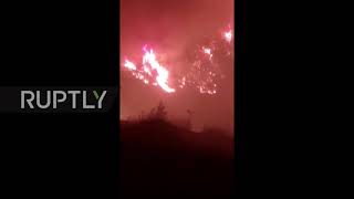 Turkey: Mugla locals and power plant workers evacuate by boat as wildfire spreads