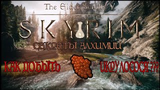 Skyrim Special Edition PS4. Гайд по сбору Лососевой икры и быстрый способ прокачать алхимию