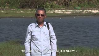[行動解說員]東沙環礁國家公園-鳥類資源簡介