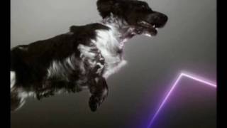 Vitalic - Birds