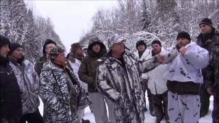 ОХОТА НА ВОЛКОВ. Костромская обл. Шарьинский р-он.