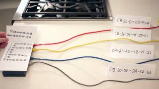 CompTIA Network+ Certification [License to Tech] Ep 006: Hubs vs. Switches