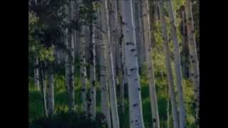 Василий Лановой поёт - Березовые Сны