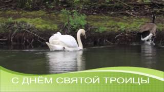 Праздничный звон Festive ringing of the bells