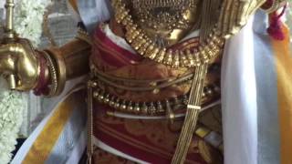 Rajagopala swamy temple Rajamannargudi. dhuvadhasi purapadu (11.12.2016)