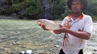 Video Mancing kalau di buang sayang | Traditional Fishing