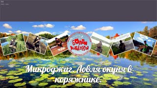 Микроджиг.  Ловля окуня в коряжнике.