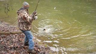 Monster Rainbow Trout!